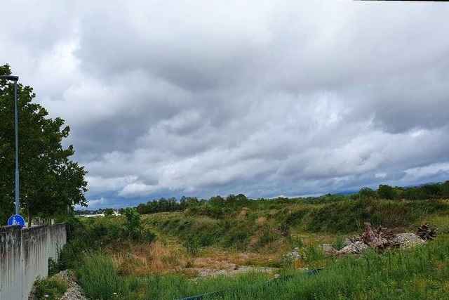 Neues Gewerbe an der Hans-Buck-Stra�e in Neuenburg kommt voran