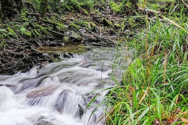 Der Seltenbach, der auch durch Mllhei...elfristig saniert werden. (Symbolbild)  | Foto: Oliver Berg (dpa)