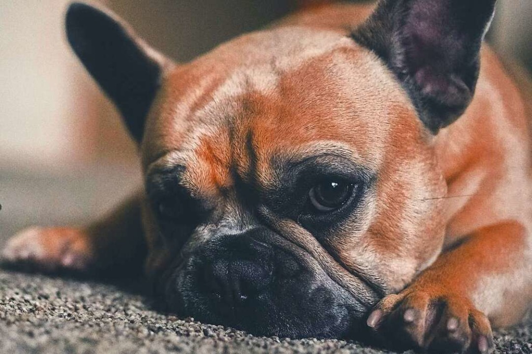 Ein alkoholisierter 50-Jhriger soll i...sten eingeschlagen haben. (Symbolbild)  | Foto: Chris Benson (Unsplash)