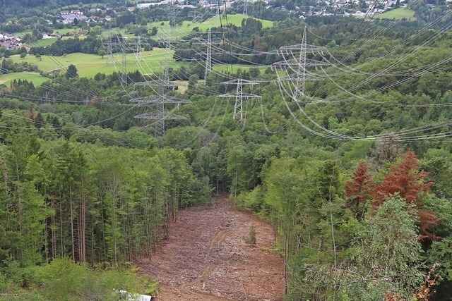 Gro�fl�chige Rodung oberhalb Wehrs