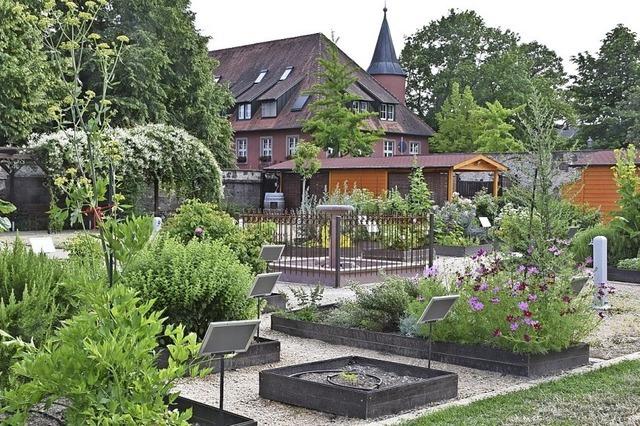 Nur noch ein Garten erinnert an die Franziskaner in Breisach