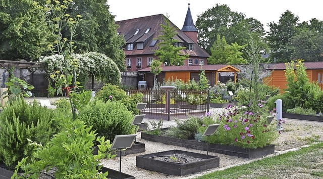 Blick in den Garten des frheren Franziskanerklosters in Breisach  | Foto: Thomas Rhenisch