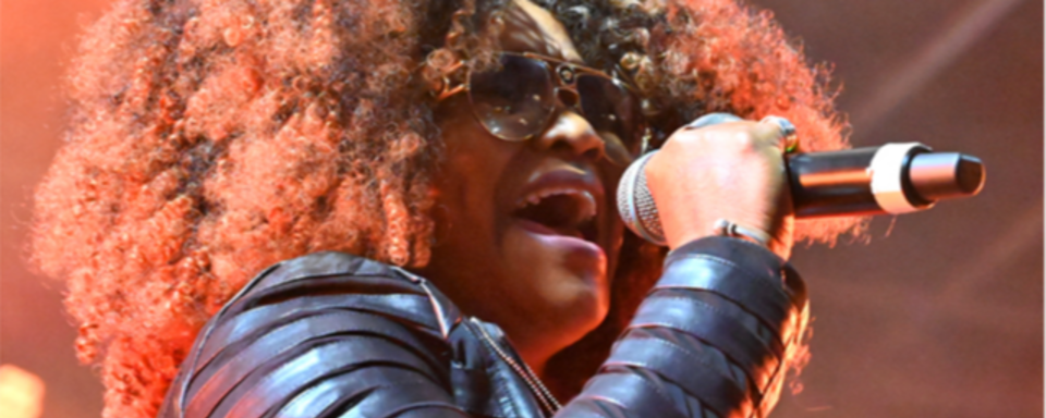 Fotos: Das African Music Festival feiert das Miteinander der Kulturen