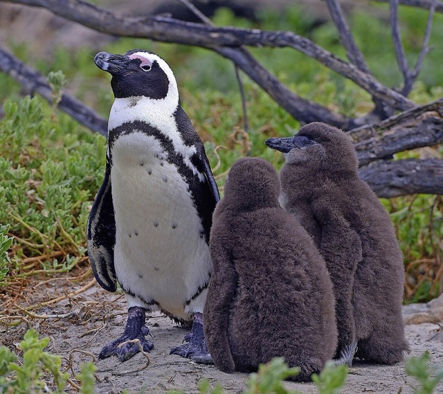   | Foto: IMAGO/McPHOTO/I. Schulz