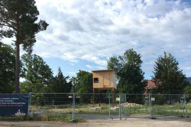 In Zarten steht ein Fledermaushaus, das keines ist