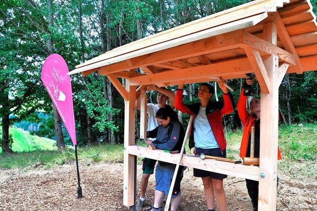 Zeller Jugendliche bauen ein Wald-Xylophon