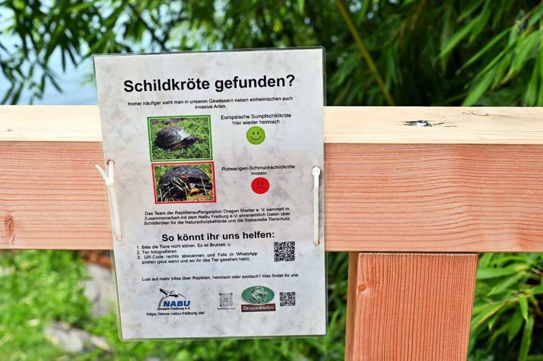Mit Plakaten informiert Dragon Shelter...ten einheimisch sind und welche nicht.  | Foto: Thomas Kunz