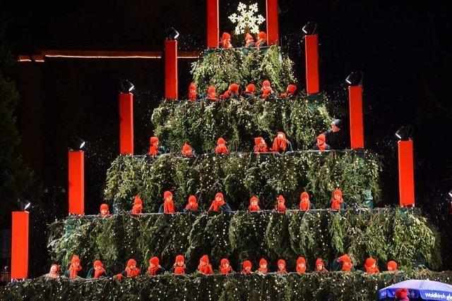 Zehn Tage, zehn Chöre – ein Singender Weihnachtsbaum