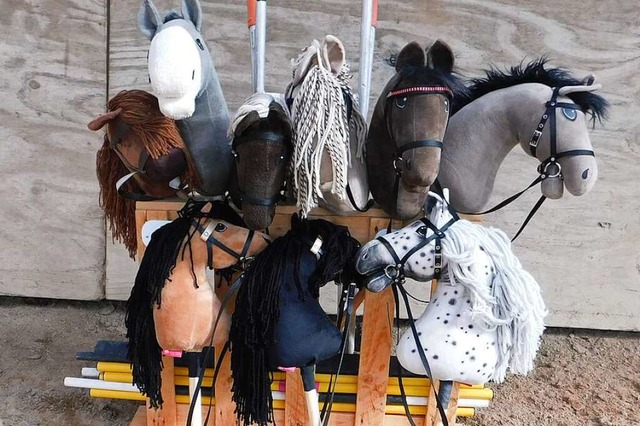 Sie beien nicht, sie treten nicht, si...ckenpferde, auch Hobby Horses genannt.  | Foto: Andrea Drescher