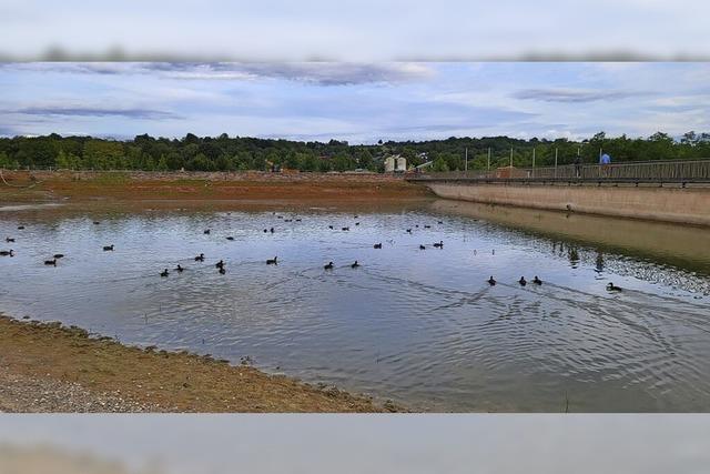 Wieder Badegste im Stegmattensee