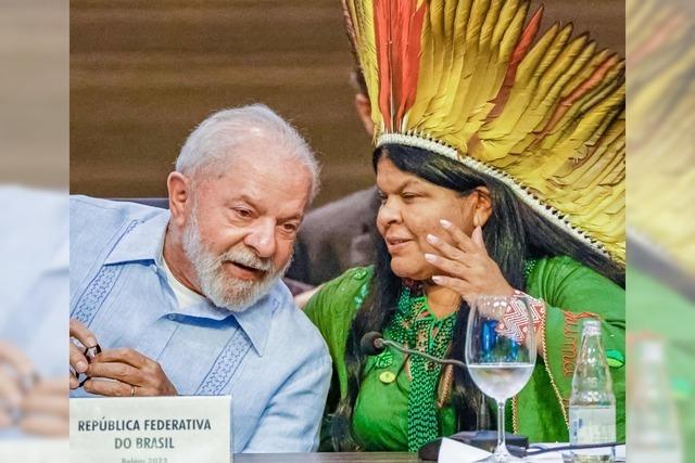 Amazonas-Anrainer wollen kooperieren
