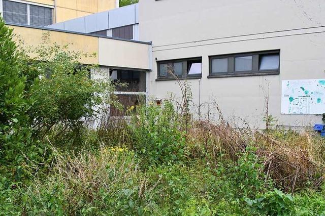 Rheinfelder Gymnasium will mehr Schatten im Pausenhof – und ein grnes Klassenzimmer