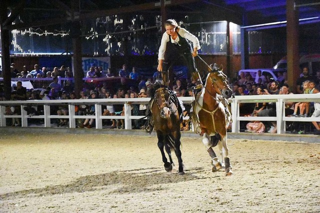 Bei der groen Show der Pferde werden ...wie im vergangenen Jahr zu sehen sein.  | Foto: Andrea Steinhart