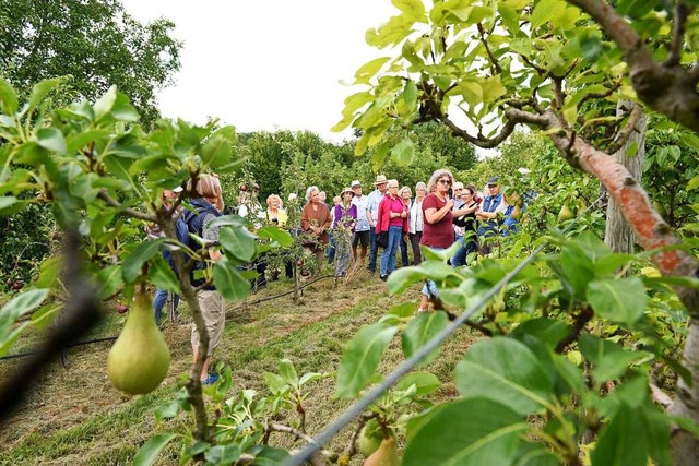 illiams-Christ-Birne: &#8222;Fr die m...h aus den Opfinger Birnen hergestellt.  | Foto: Rita Eggstein