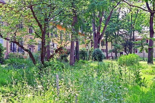 In den Stadtbau-Wohnungen am Drachenwe...vor allem ltere Menschen. Archivbild.  | Foto: Michael Bamberger