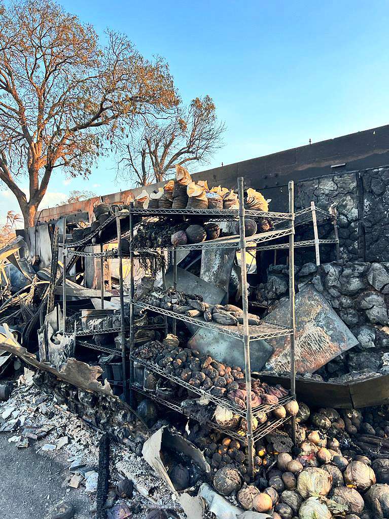 Die Feuer waren am Dienstag ausgebrochen. Durch starken Wind hatte sich das Feuer so schnell verbreitet, dass viele Menschen vor den Flammen ins Wasser springen mussten. Tausende Menschen sind obdachlos und mssen beherbergt werden.