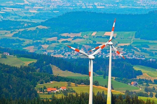 Baden-Wrttembergs groer Waldbesitz birgt Zwickmhlen beim Windkraftausbau
