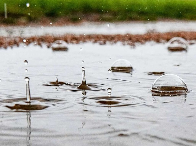Ein Groteil des Regens ist oberirdisch abgeflossen.  | Foto: Paul Zinken (dpa)