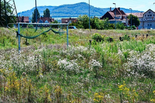 Zugewuchert und schon lange nicht mehr...mstadion. Es weicht bald der B 34 neu.  | Foto: Heinz und Monika Vollmar