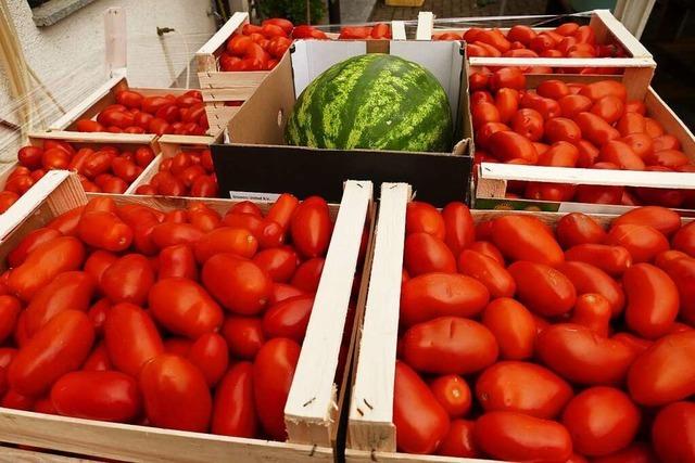 Jedes Jahr verkocht eine Familie aus Istein hunderte Kilo Tomaten zu Sugo
