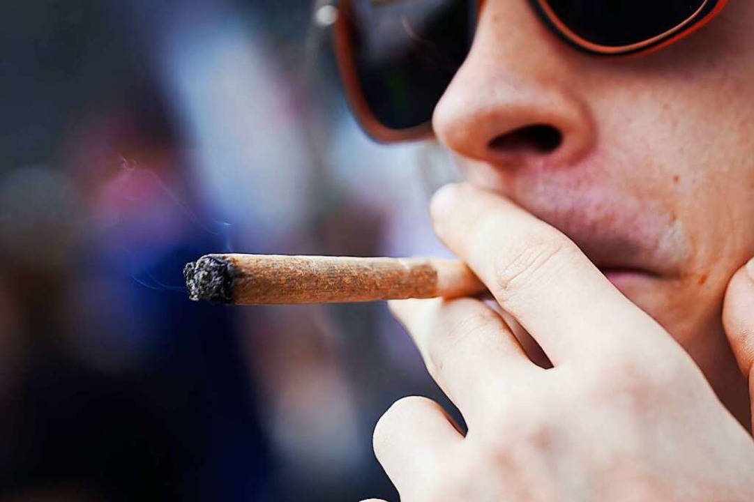 Die kommende Cannabis-Legalisierung treibt erste Blüten.  | Foto: Annette Riedl (dpa)