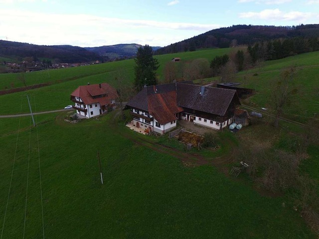 Hofgebude und Leibgeding des Marxenho...uzeit abgerissen und wieder aufgebaut.  | Foto: Jarno Kiesele