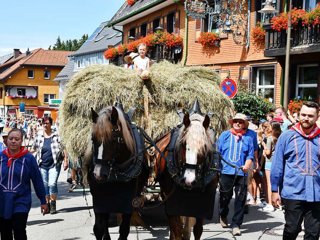 Kreistrachtenfest in Hinterzarten mit knapp 50 teilnehmenden Gruppen