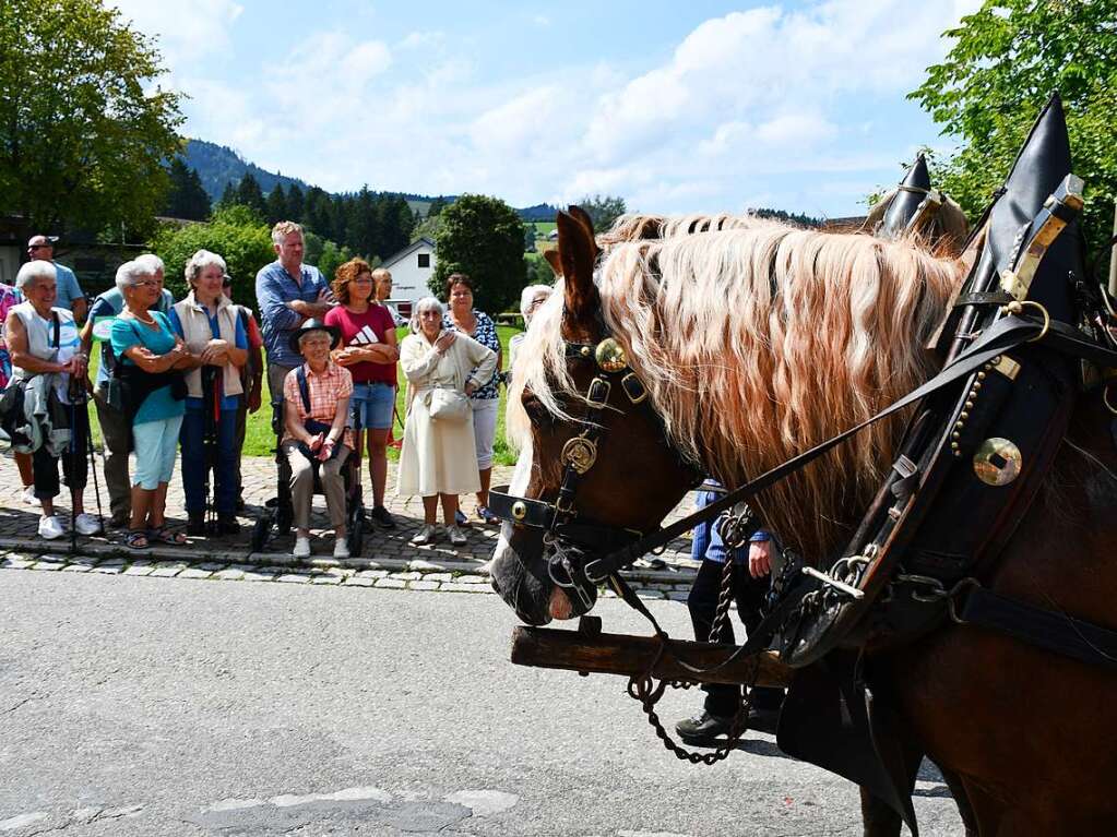 Kreistrachtenfest in Hinterzarten mit knapp 50 teilnehmenden Gruppen