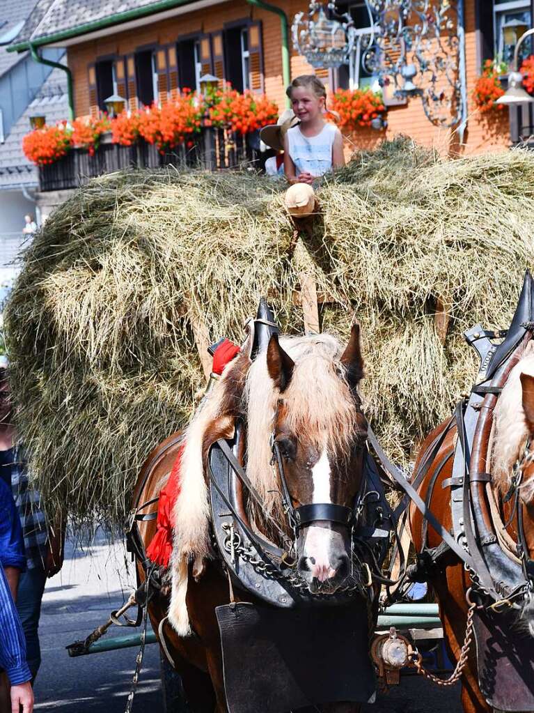 Kreistrachtenfest in Hinterzarten mit knapp 50 teilnehmenden Gruppen