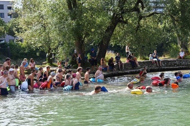 Ideale Bedingungen beim Rheinschwimmen in Rheinfelden