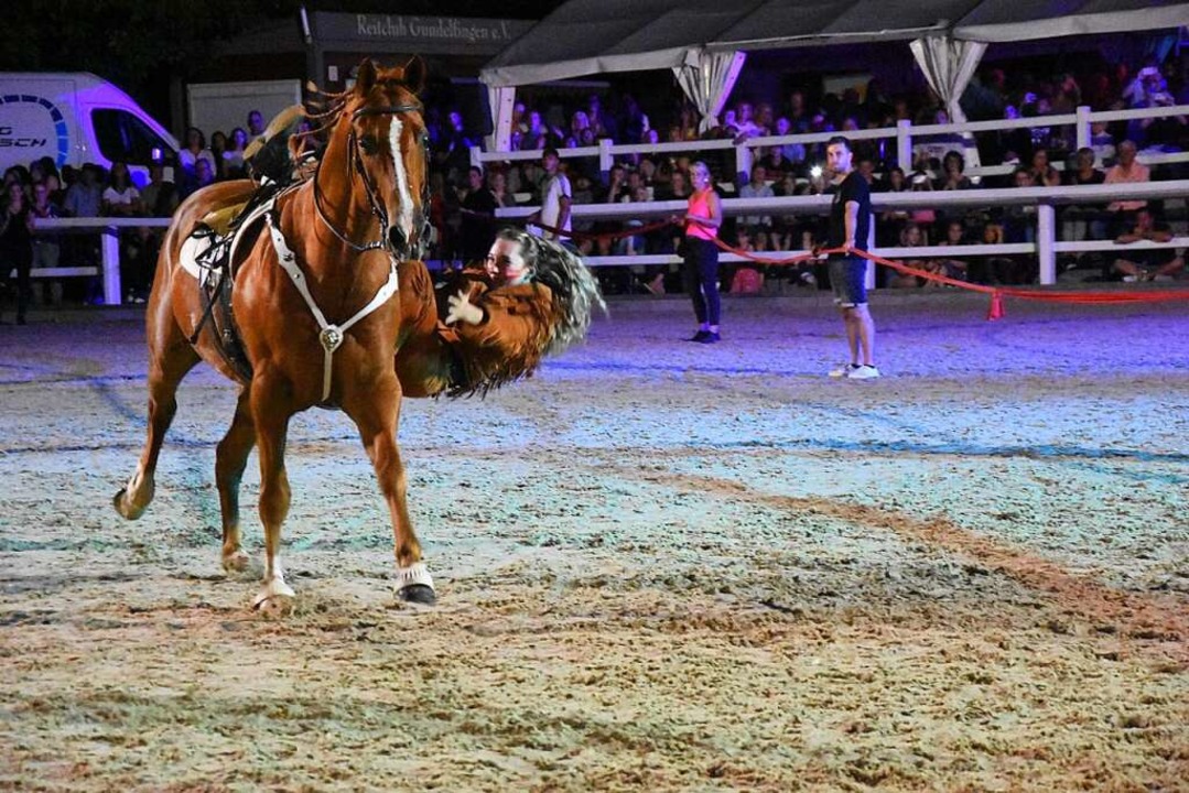 Waghalsige Stunts zeigt Charlene mit ihrem Pferd Spirit  | Foto: Andrea Steinhart