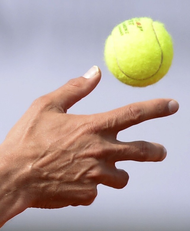 In acht Konkurrenzen schlugen die Tenniscracks in Hauingen auf.  | Foto: Patrick Seeger