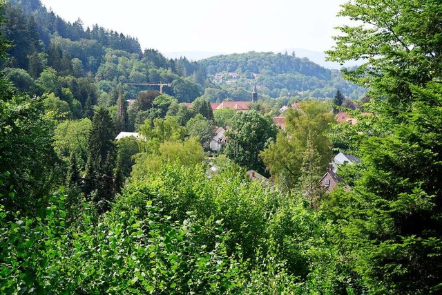 Ein Waldstck in Gnterstal ist inzwis...ennen als Standort fr einen Ruhewald.  | Foto: Thomas Kunz