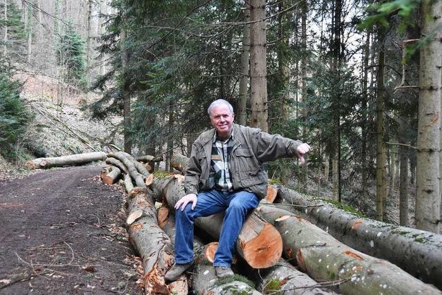 Forstamt weist Kritik zurck: Ehemaliger Denzlinger Jger kritisiert Umgang mit Wald