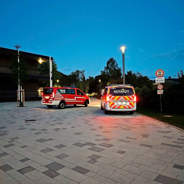 Feuerwehr und Rettungsdienst waren am Faust-Gymnasium im Einsatz.  | Foto: Feuerwehr Staufen