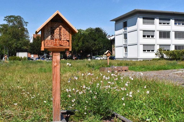Hochbeet, Insektenhotels und eine Magerwiese gibt es neben dem Rathaus.  | Foto: Thomas Loisl Mink