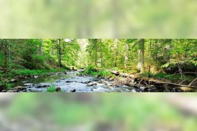 Flussgeschichten – Flößerei auf Wutach und Steina