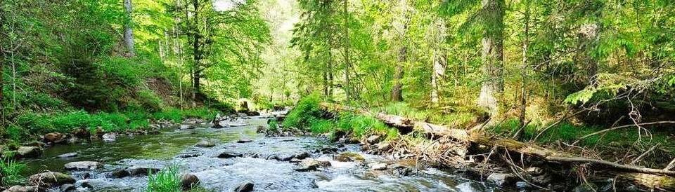 Flussgeschichten – Flerei auf Wutach und Steina