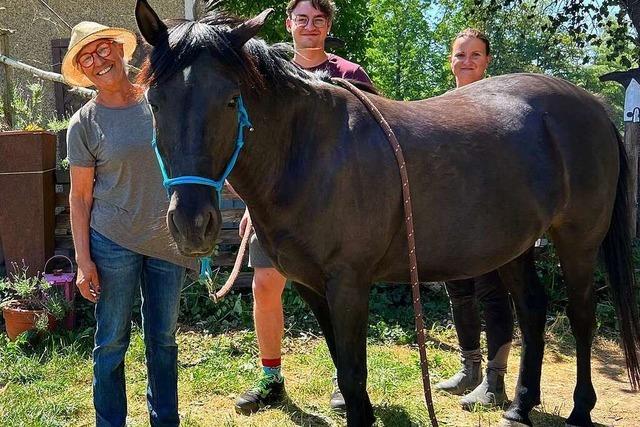 Ein Verein in Offnadingen hilft misshandelten Pferden