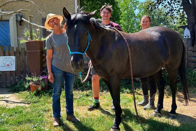 Pony Michel kam verstrt und vernachl...Hand aufs Herz hat er sich gut erholt.  | Foto: Susanne Ehmann