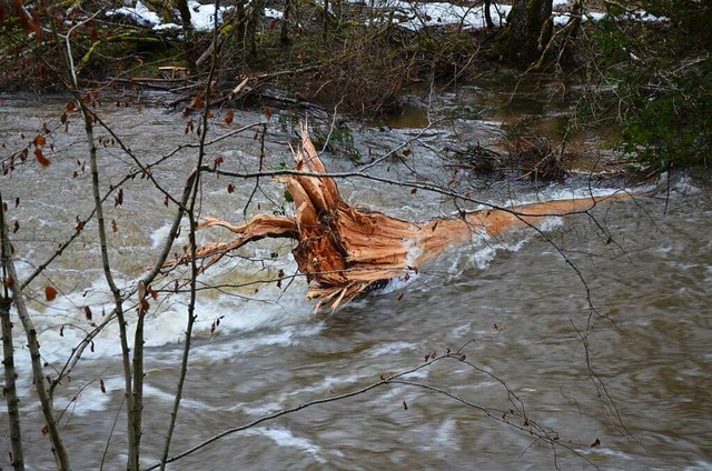 Floweiher gibt es lngst nicht mehr, ...e in der Lage war, ein Flo zu tragen.  | Foto: Friedbert Zapf