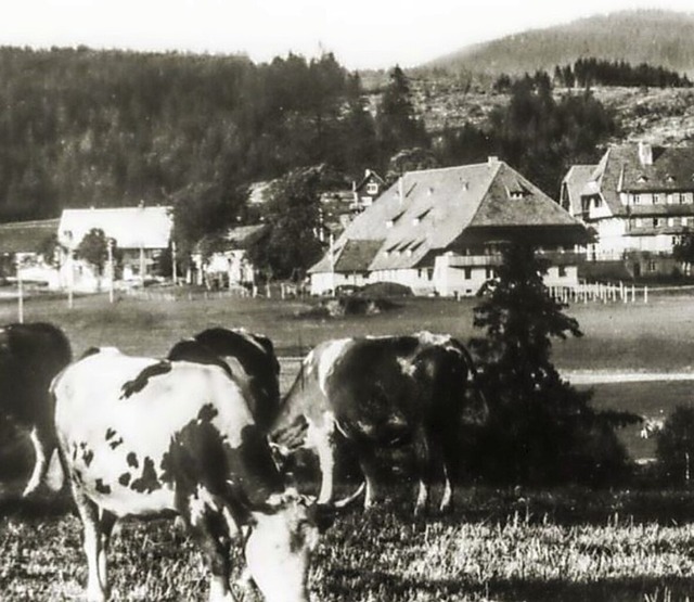 Ein Bild des Friedens: Hinterzarten anno 1935  | Foto: Gemeinde Hinterzarten