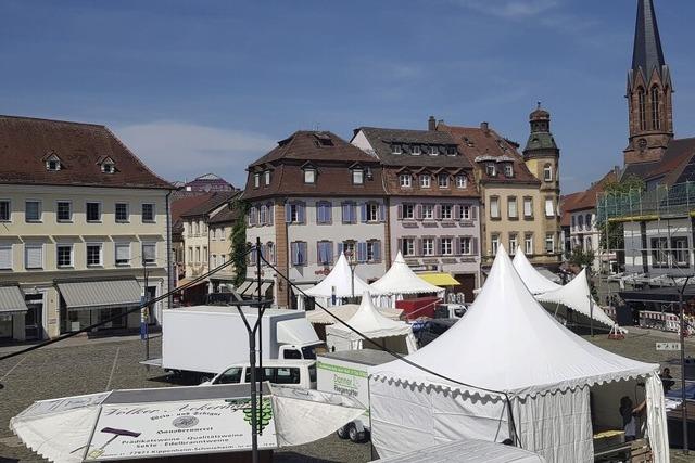 Das 50. Breisgauer Weinfest wird heute erffnet