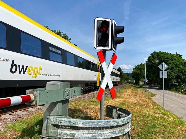 Der IRE zwischen Basel und Lauchringen braucht aktuell etwas lnger.  | Foto: Lisa Petrich