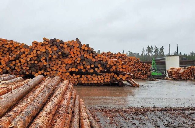 Die Firma Ante mchte ihr Holzwerk in Rtenbach massiv erweitern.  | Foto: Stefan Mertlik