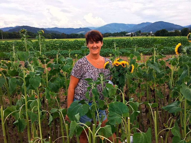 Fr die liebe Freundin: Sonnenblumen s...mt am Donnerstag zwei Mal nach Zarten.  | Foto: Philipp Schulte