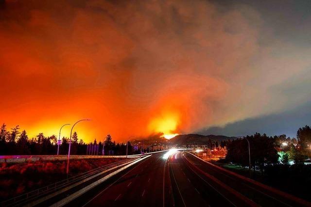 Wegen Waldbränden: British Columbia erklärt den Notstand