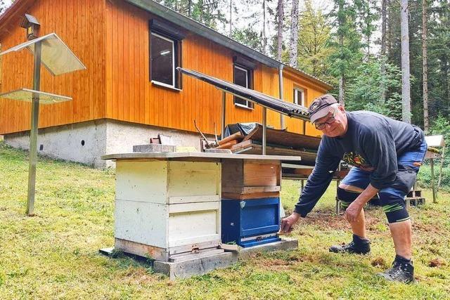 Imkerverein informiert im Kleinen Wiesental über die Bienenhaltung