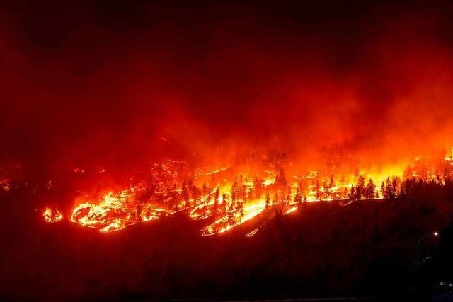 Schwere Waldbrnde in Kanada, Griechenland und auf Teneriffa