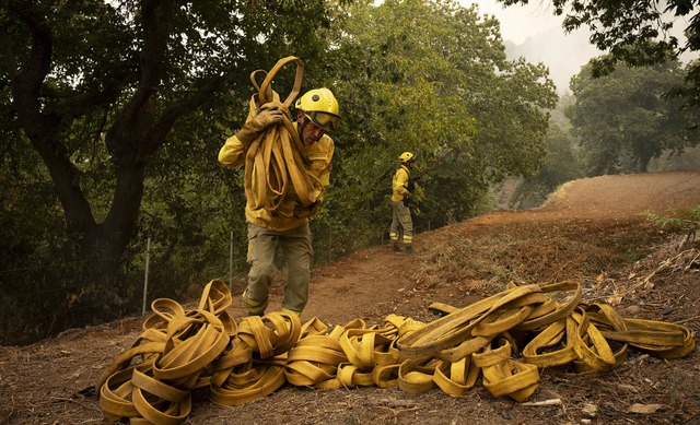 Ein Feuerwehrmann auf Teneriffa  legt ...usammen, um die Waldbrnde zu lschen.  | Foto: Arturo Rodriguez (dpa)